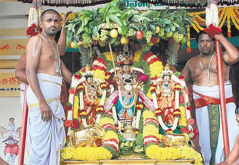 கற்பக விருட்ச வாகனத்தில் கல்யாண வெங்கடேஸ்வரர்