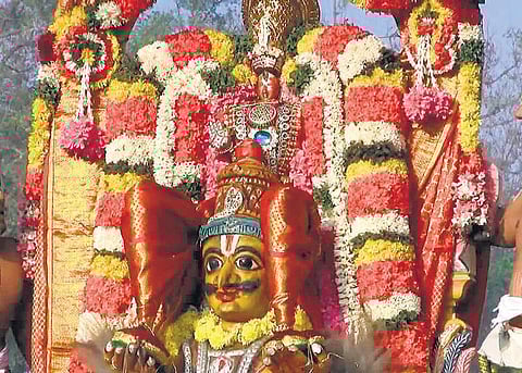 தங்க கருட வாகனத்தில் விஜய ராகவப்பெருமாள்﻿