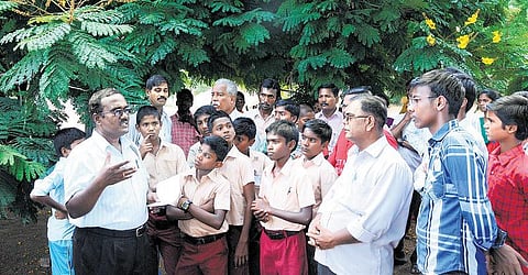 மதுரை மரங்களைத் தேடும் பயணம்﻿