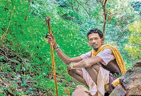 தமிழகத்தில் பழங்குடியினர் நலன்?﻿