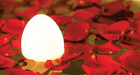 முட்டை விளக்கு