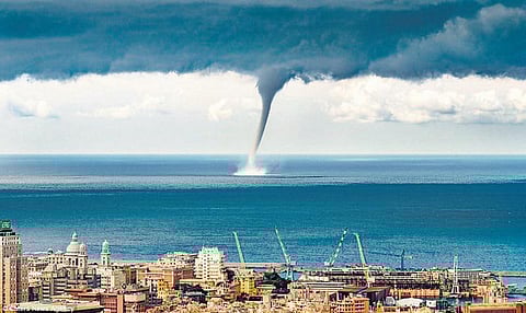 நீர்ப்பீச்சு: வானத்திலிருந்து கொட்டிய தவளை!﻿