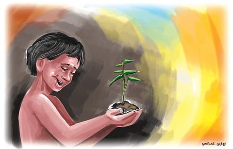 எங்க ஊரு வாசம்: பிள்ளைகள் வளர்க்கும் மரங்கள்!﻿