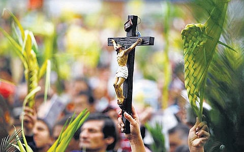 ஓசன்னா நாயகனுக்கு ஒரு வரவேற்பு!﻿