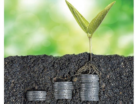 பிபிஎப்-ல் முதலீடு செய்யலாமா?