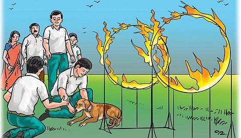 என்னைச் செதுக்கிய மாணவர்கள்: வாழ்க்கைப் பாடம் சொன்ன பிரபுசிங்﻿