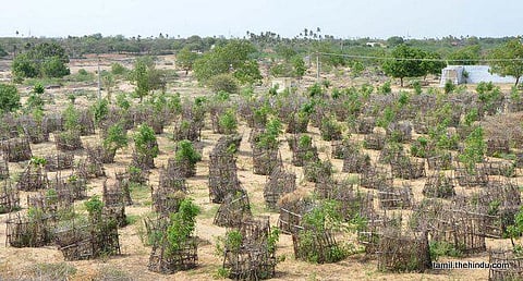 134 - அரவக்குறிச்சி