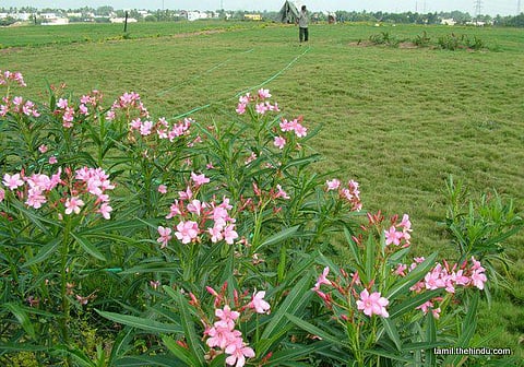 117 - கவுண்டம்பாளையம்