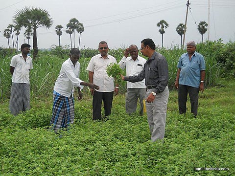 220 - வாசுதேவநல்லூர் (தனி)