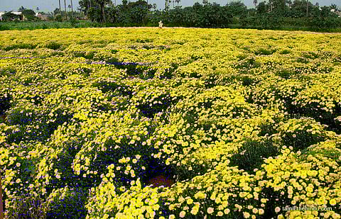 86 - எடப்பாடி