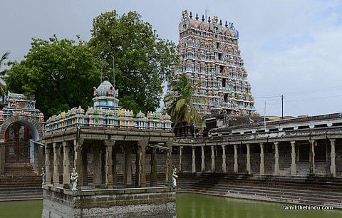 224 - திருநெல்வேலி