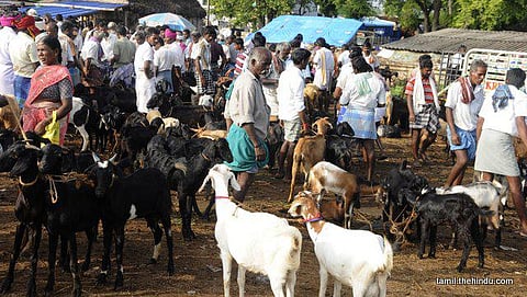 138 - மணப்பாறை