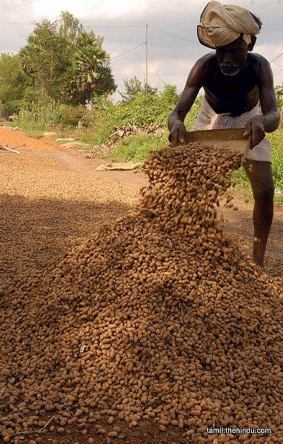 178 - கந்தர்வகோட்டை(தனி)