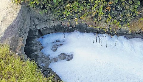 பாலாற்றில் கலக்கும் தோல் ரசாயனக் கழிவுநீர்﻿: தொற்றுநோய் பரவும் அபாயம்﻿