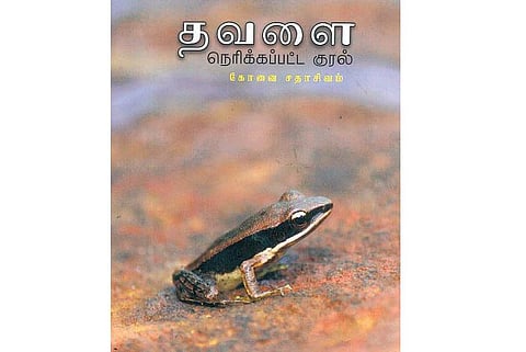 பசுமை இலக்கியம்: தொலைந்துபோன மழைப் பாடகர்கள்﻿