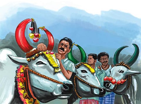 எங்க ஊரு வாசம்: துண்டு போட்டு விலைபேசும் மக்கள்!﻿