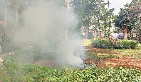 உதிரும் இலைகளை தீயிட்டு கொளுத்தும் மாநகராட்சி: புகை மூட்டத்தால் பொதுமக்கள் அவதி
