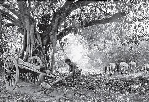 பிஞ்சுகள்: சொல்லின்றி உயிரில்லை!﻿