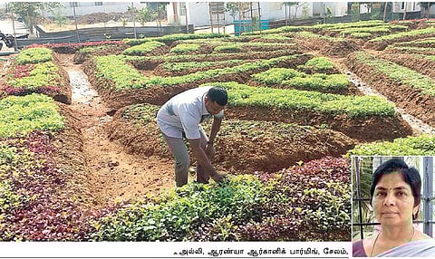 உன்னால் முடியும்: நிலையான வருமானம் தந்த பெர்மாகல்சர்