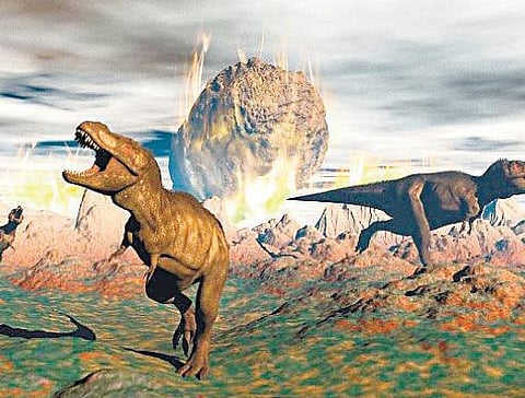 பிரளயத்தை ஏமாற்றிய ஆழ்கடல் விலங்குகள்﻿﻿