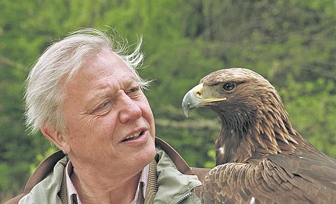 இயற்கை மீதான ஆர்வம் இன்னும் தீரவில்லை எனக்கு! - டேவிட் அட்டன்பரோ பேட்டி