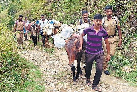 தமிழகம், புதுச்சேரி சட்டப்பேரவைக்கு இன்று பொதுத் தேர்தல்﻿: காலை 7 மணிக்கு வாக்குப்பதிவு தொடக்கம்﻿
