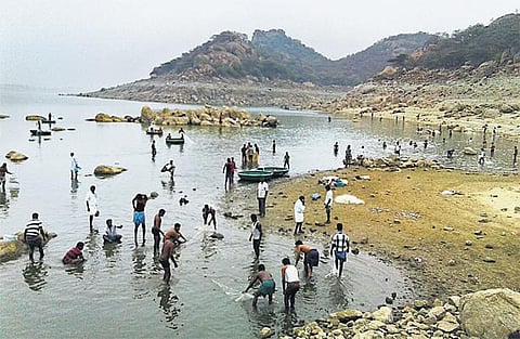 மேட்டூர் அணையில் செத்து மிதக்கும் மீன்கள்﻿: காவிரியில் கழிவுநீர் கலப்பதாக குற்றச்சாட்டு﻿