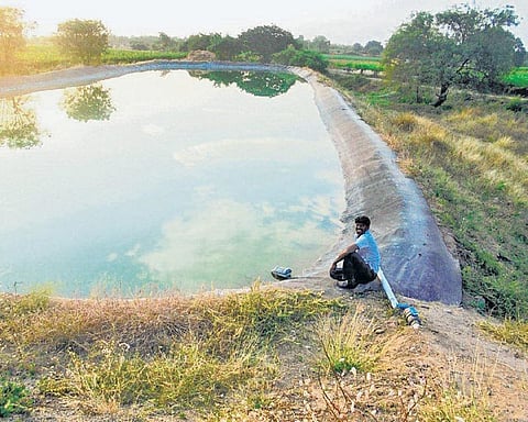 நம்பிக்கை விதை 2 -  வறண்ட நிலத்தில் நான்கு மடங்கு வருமானம் மராத்வாடாவில் ஒரு முன்மாதிரி கிராமம்