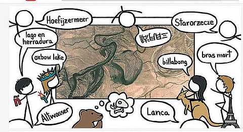 வீடியோ புதிது:  நதிகள் வளைந்து செல்வது ஏன்?