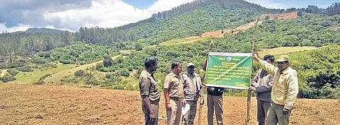 நீலகிரியில் புல்வெளியை அகற்றி விவசாயம் செய்ய முயற்சி: எச்சரிக்கை அறிவிப்பு வைத்துள்ள வனத்துறை