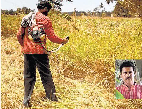 முன்னத்தி ஏர் 33: அருகிவரும் உழவுத் தொழிலாளர்