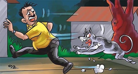 ஒரு ‘நாயி’ற்றுக்கிழமை நள்ளிரவு﻿