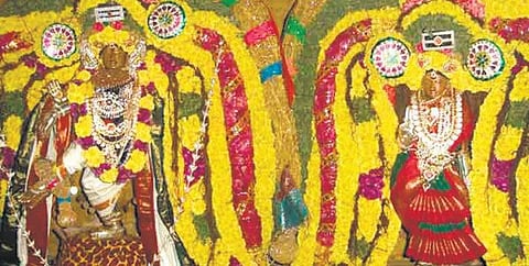 பதினோராம் சைவத் திருமுறைச் செல்வன்﻿