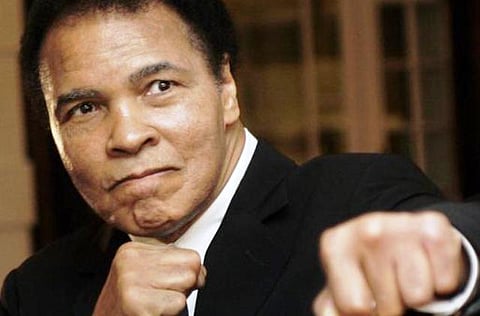 நாக்-அவுட் நாயகன்!﻿