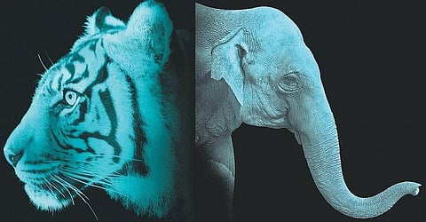 உயிர் பிச்சை கிடைக்குமா?﻿