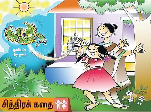 சித்திரக் கதை: சிந்துவும் வண்ணக்குருவியும்!﻿