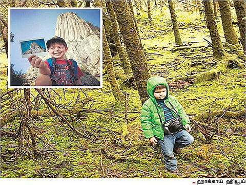 வாண்டு பாண்டு: காடுகளைச் சுற்றும் குட்டிப் பையன்!﻿