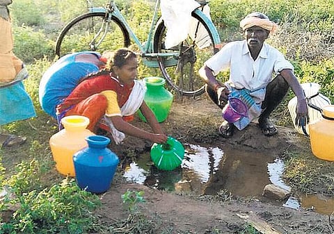 உடுமலை அருகே﻿ துங்காவி கிராமத்தில் கடும் குடிநீர் தட்டுப்பாடு﻿: ஆடு, மாடு குடிக்கும் நீரையே அருந்தும் அவலம்﻿