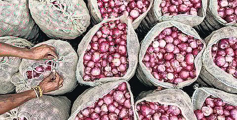 உலக அளவில் வெங்காய பயன்பாட்டுக்கான வணிக நகராகும் பெரம்பலூர்﻿