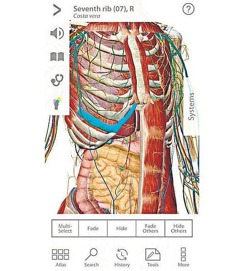 செயலி புதிது: மனித உடல்கூறு அறிய உதவும் செயலி
