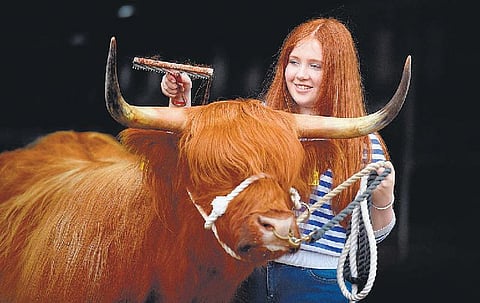 ஒளியிலே தெரிவது