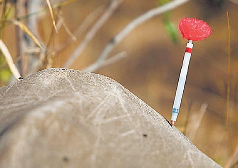 மயக்க மருந்து என்னவெல்லாம் செய்யும்?