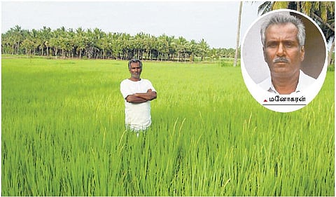 முன்னத்தி ஏர் 37: ஒன்றும் செய்யா தென்னை வேளாண்மை﻿