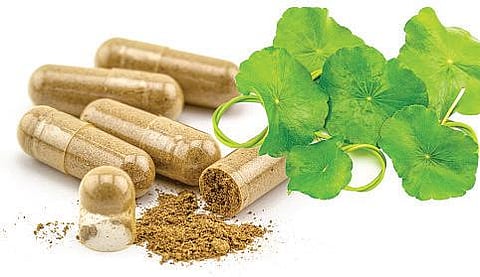 நலம் தரும் பொடிகள்!