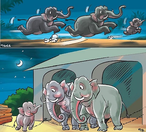 சித்திரக் கதை: குல்லூவின் துணிச்சல்﻿