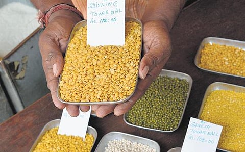 துவரம் பருப்பு, உளுந்து பயிரிட மொசாம்பிக் நாட்டுடன் ஒப்பந்தம்