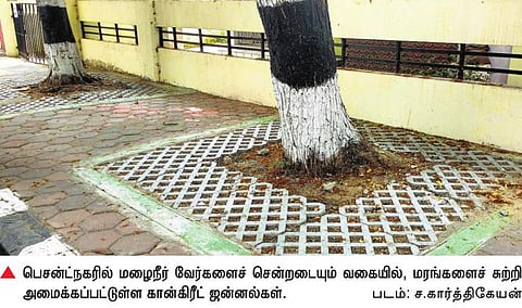 சாலையோர மரங்களுக்கு மழைநீர் கிடைக்க நடைபாதைகளில் கான்கிரீட் ஜன்னல்: சென்னை மாநகராட்சி புதிய ஏற்பாடு