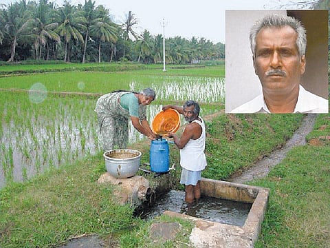 முன்னத்தி ஏர் 38: நெல்லுக்குத் தெளிப்புக் கரைசல்- தேவை கூடுதல் கவனம்﻿