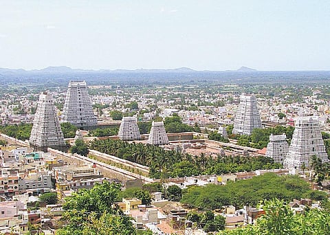 எங்கே செல்லும் இந்த ‘கிரிவலப் பாதை’?﻿