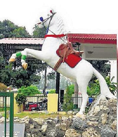 உத்தராகண்ட் காவல் துறையில் பணியாற்றி இறந்த﻿ சக்திமான் குதிரை சிலை அகற்றம்﻿